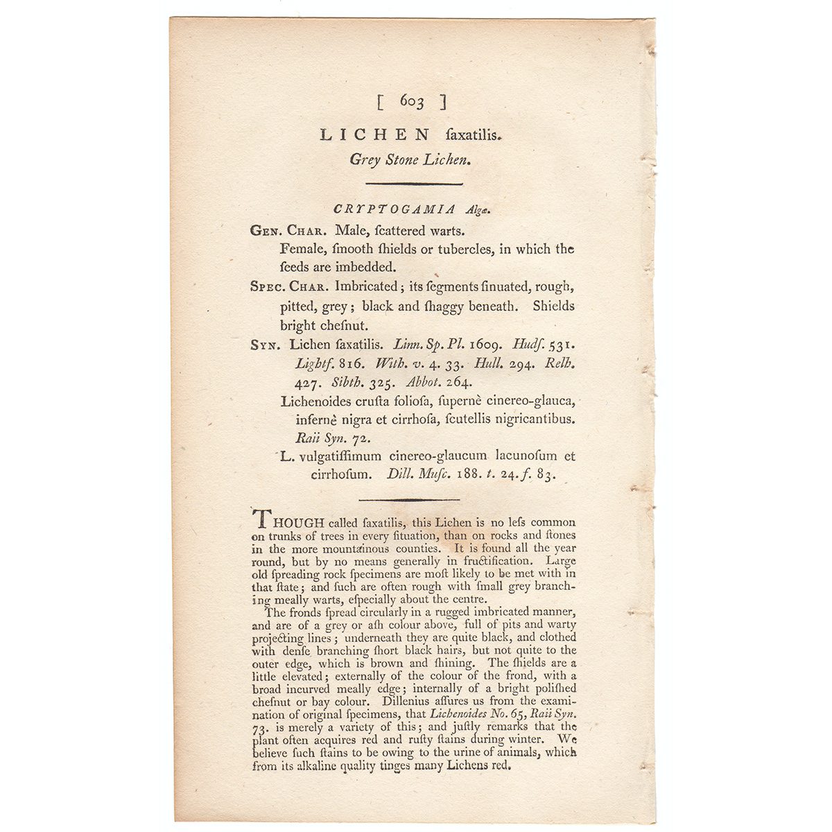 James Sowerby English Botany