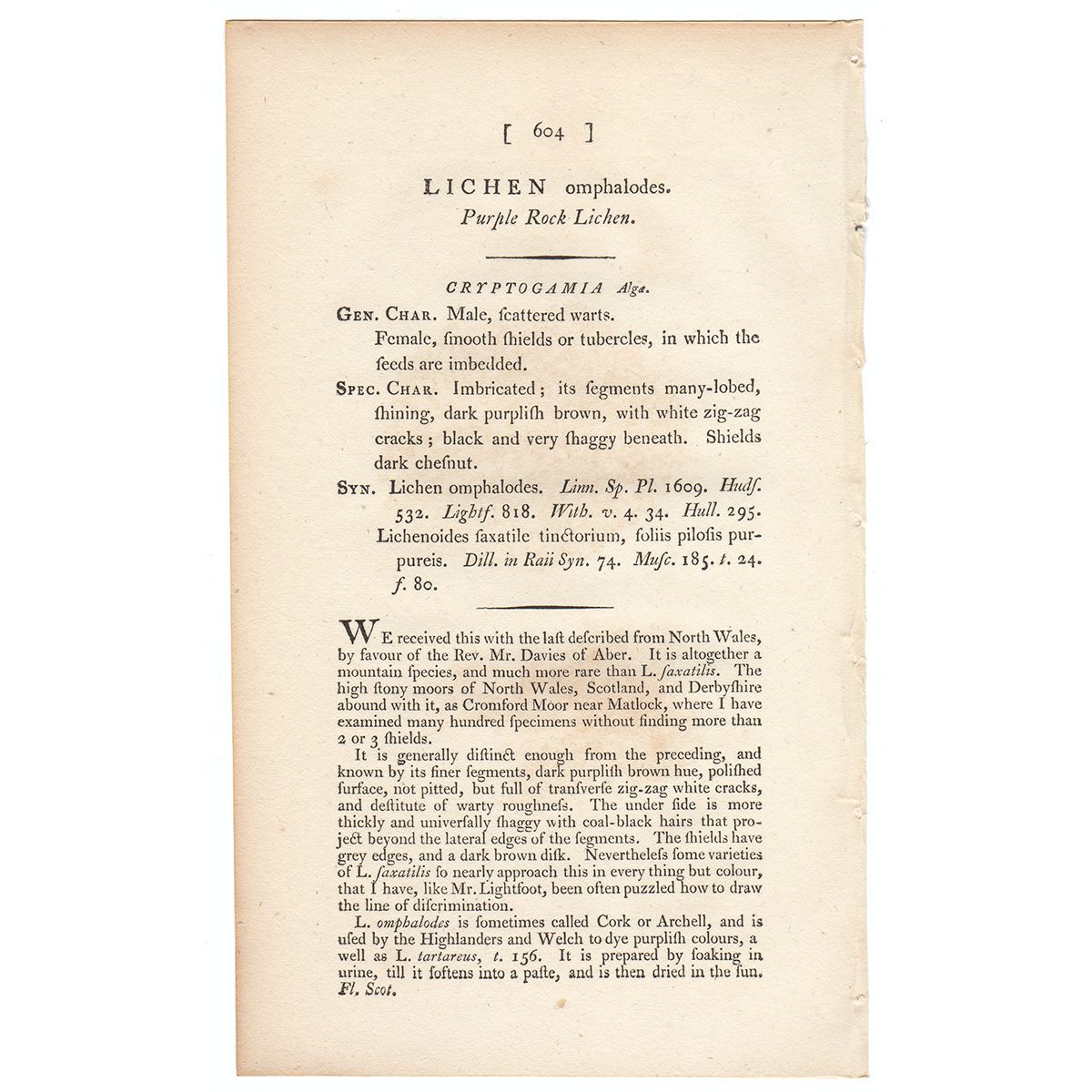 James Sowerby English Botany