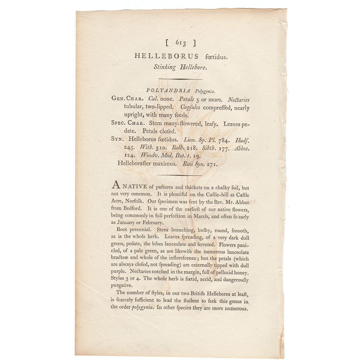 James Sowerby English Botany