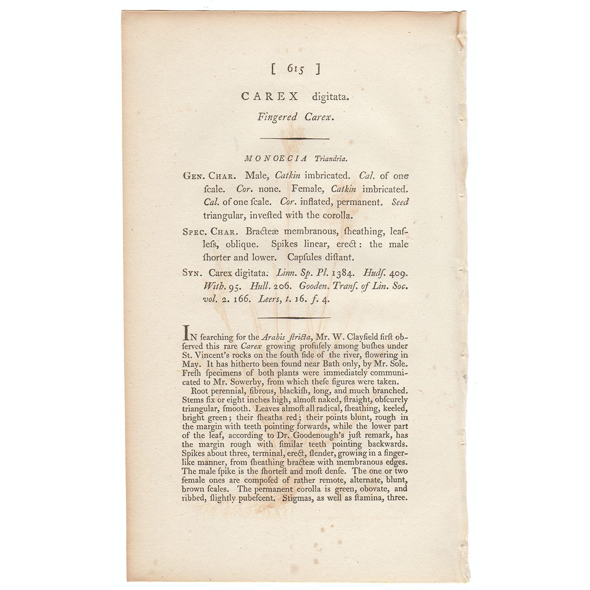 James Sowerby English Botany