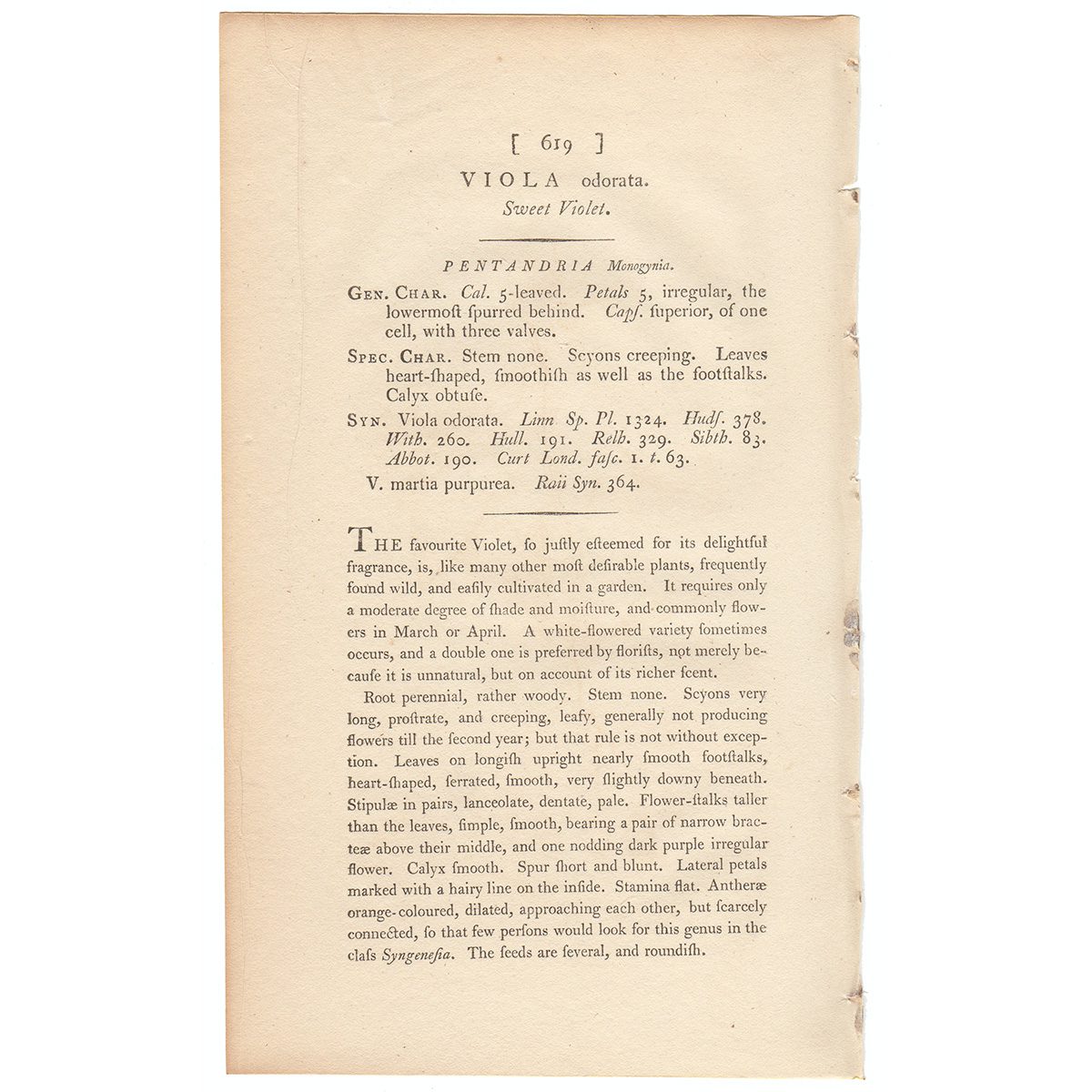 James Sowerby English Botany