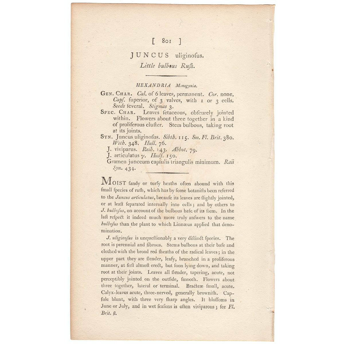 James Sowerby English Botany