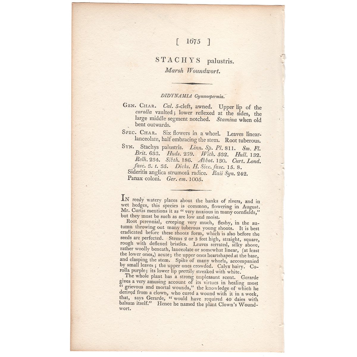 James Sowerby English Botany