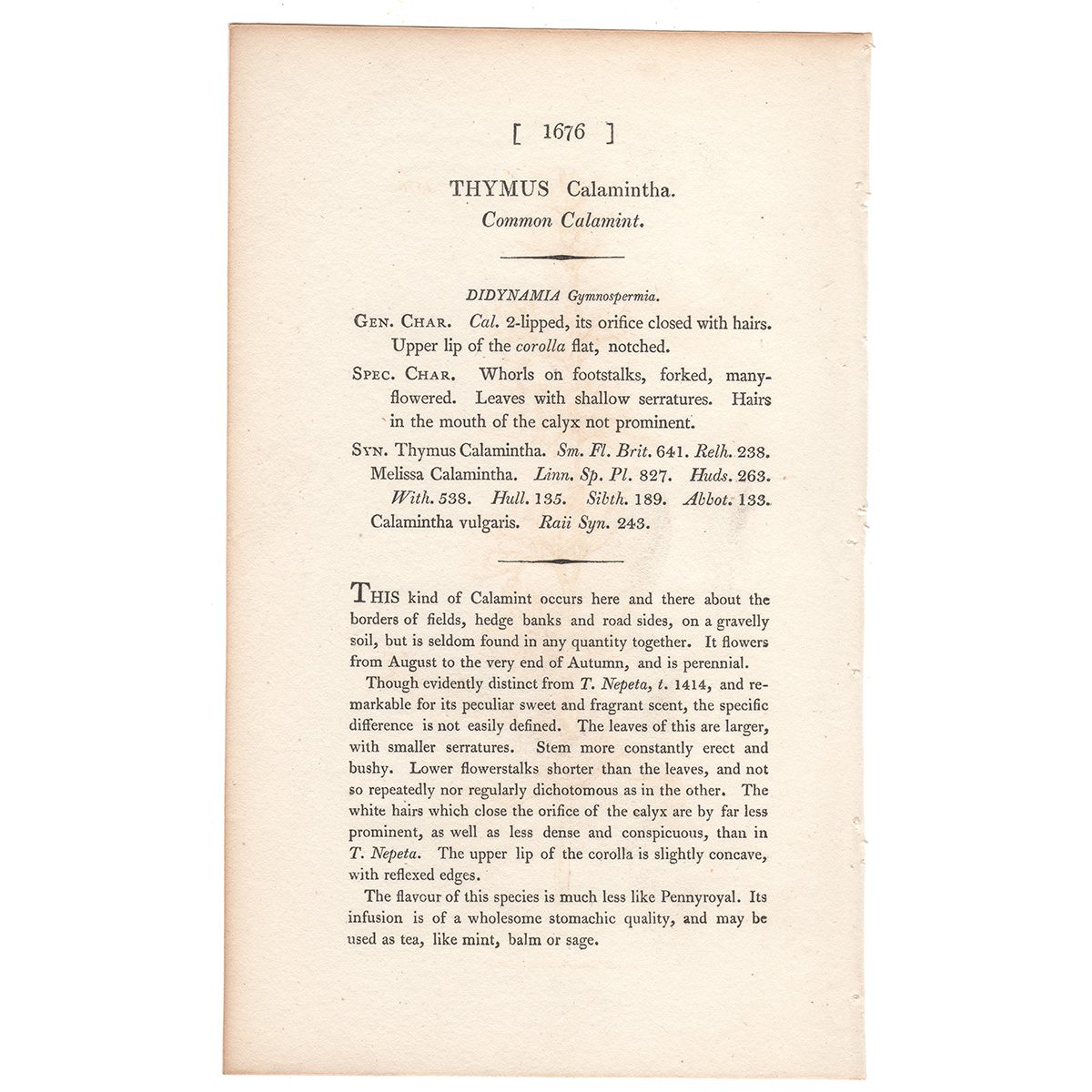 Sowerby Botany Plate 1676 Common Calamint - Image 3