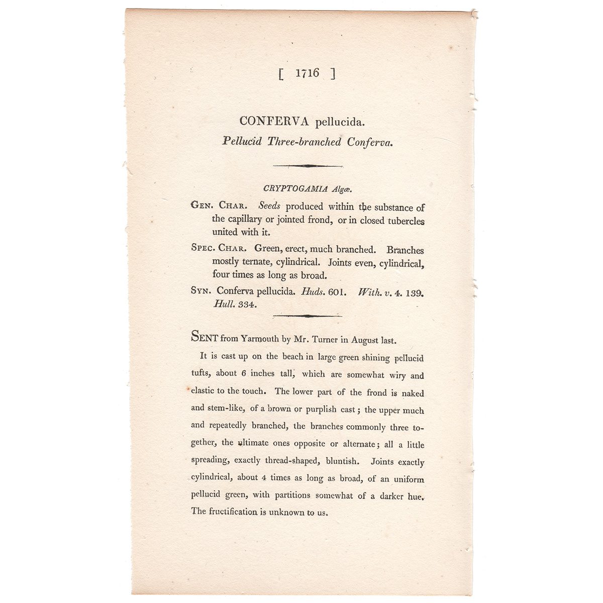 James Sowerby English Botany