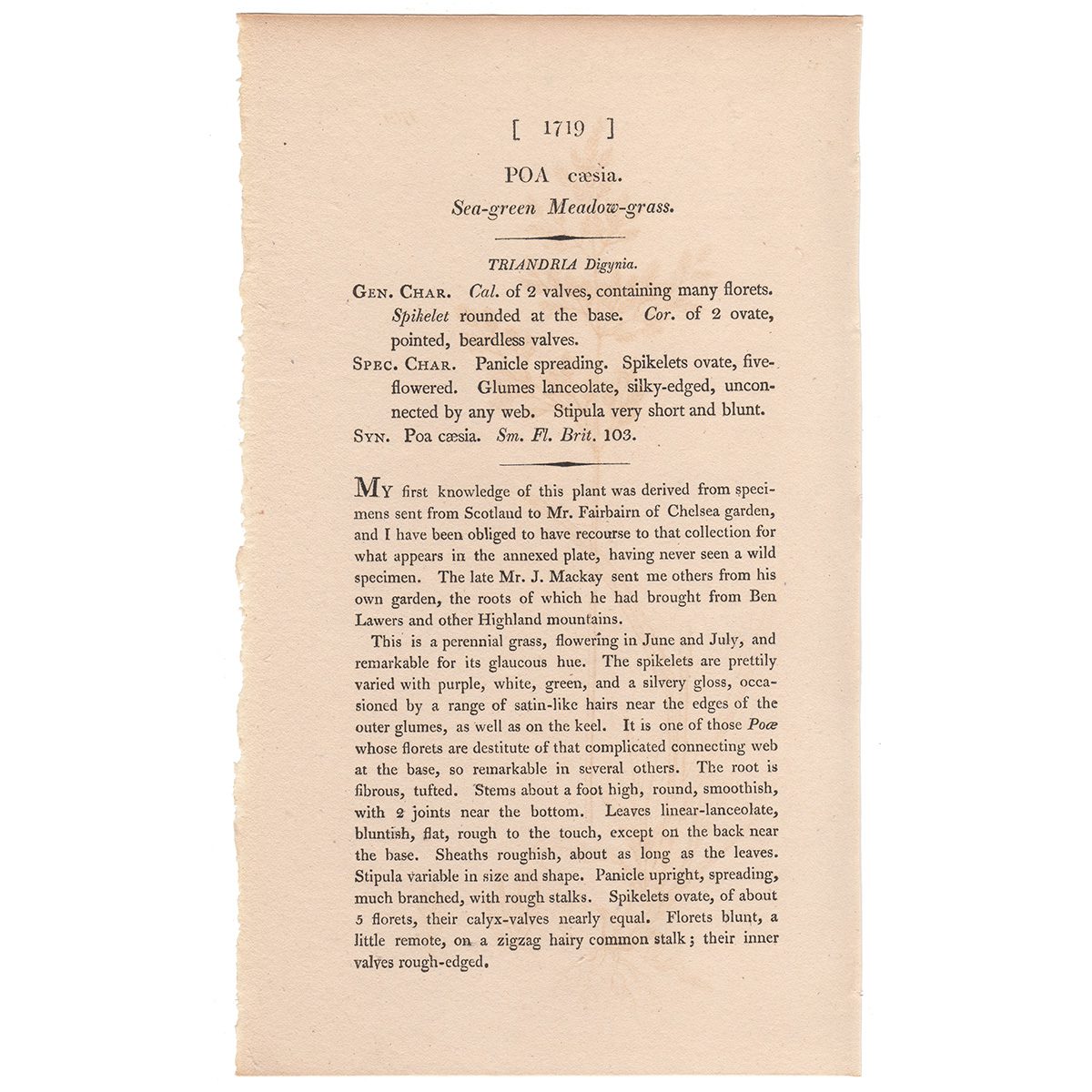 James Sowerby English Botany