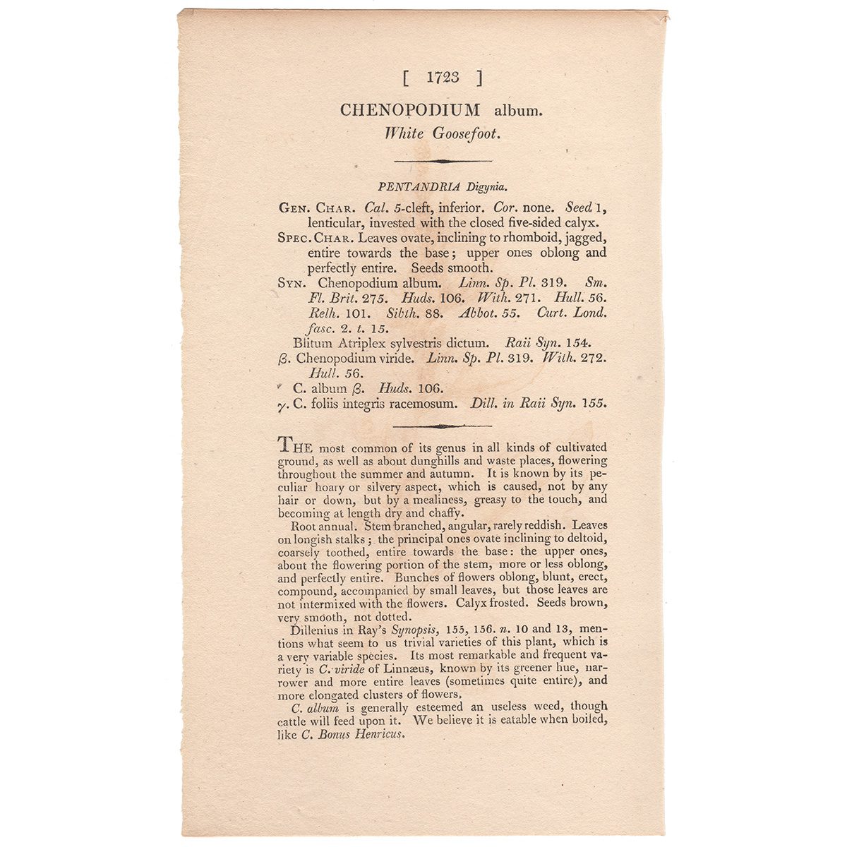 James Sowerby English Botany