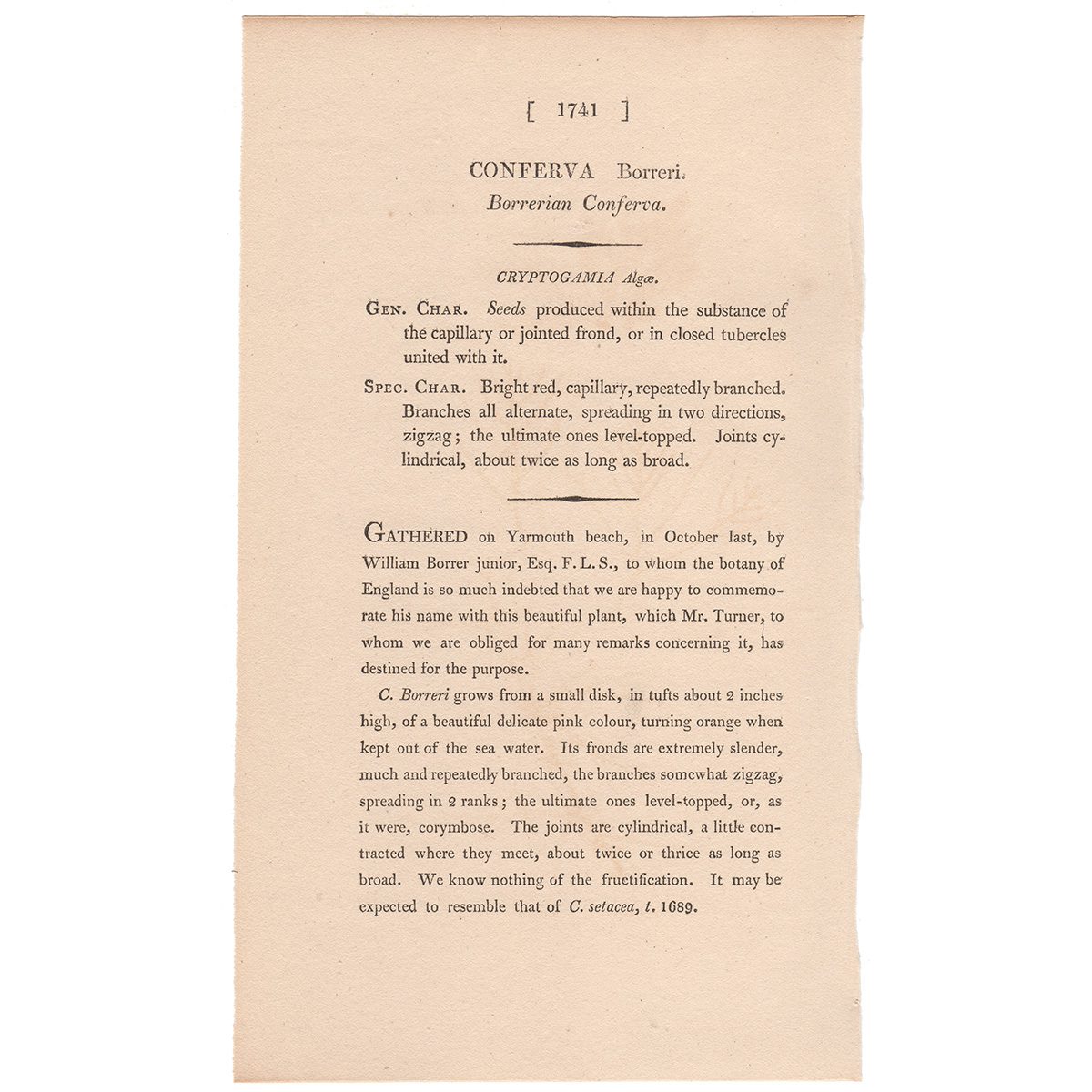 James Sowerby English Botany