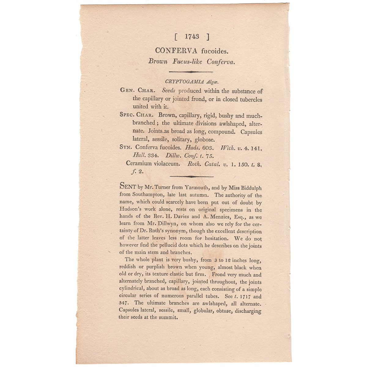 James Sowerby English Botany