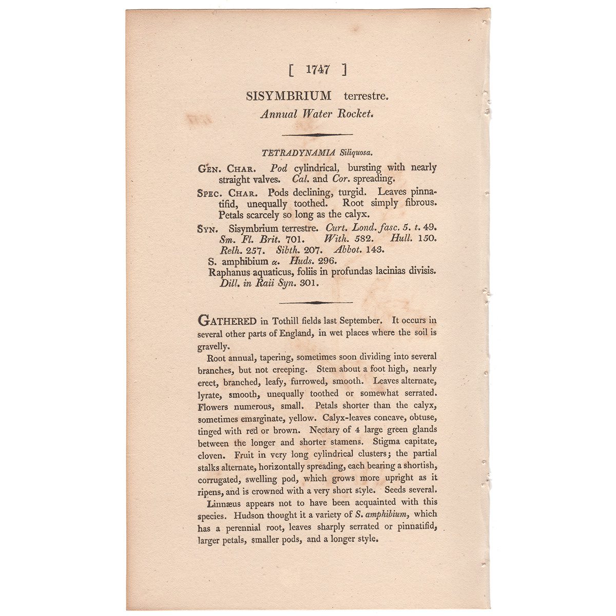 James Sowerby English Botany