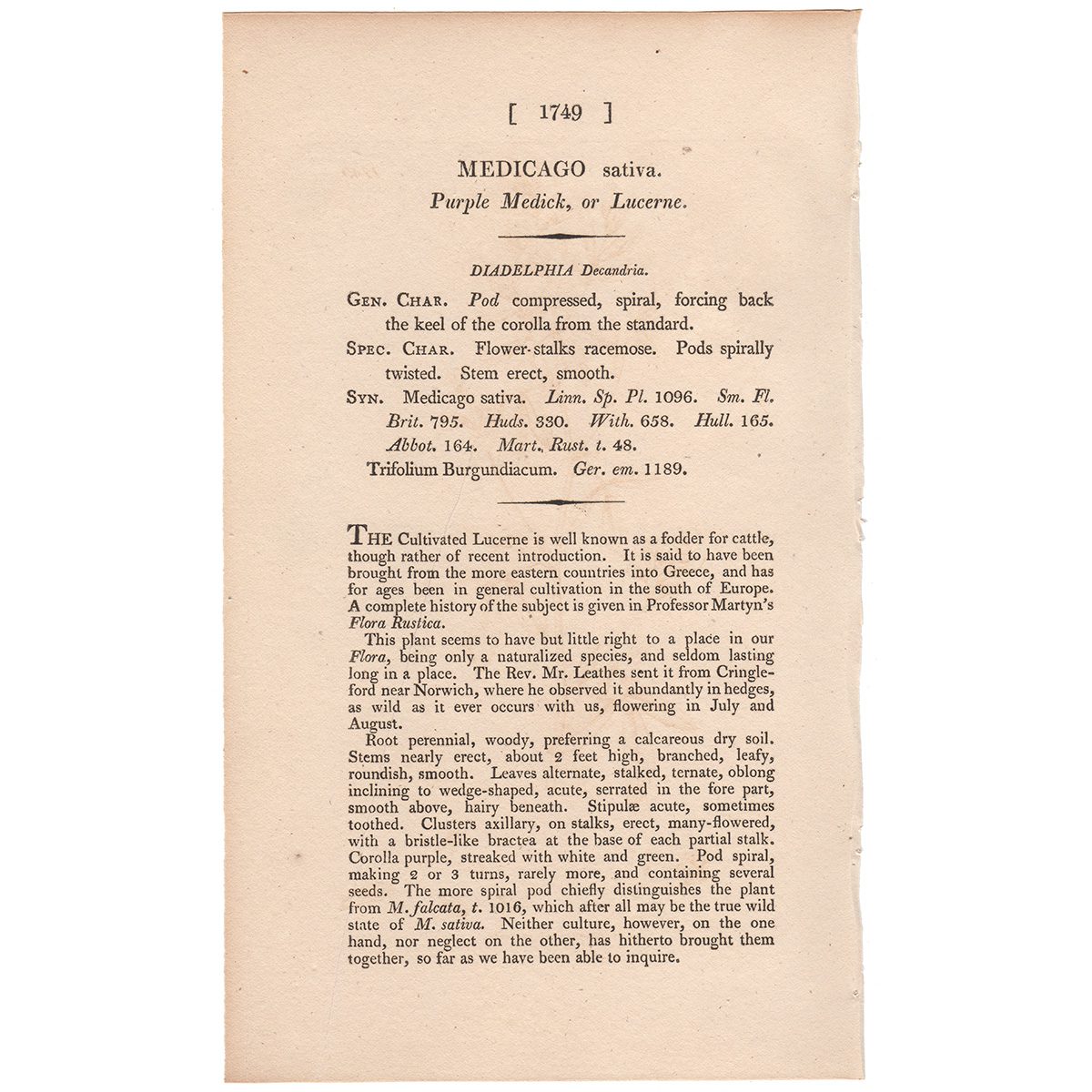 Sowerby Botany Plate 1749 Purple Medick, or Lucerne - Image 3