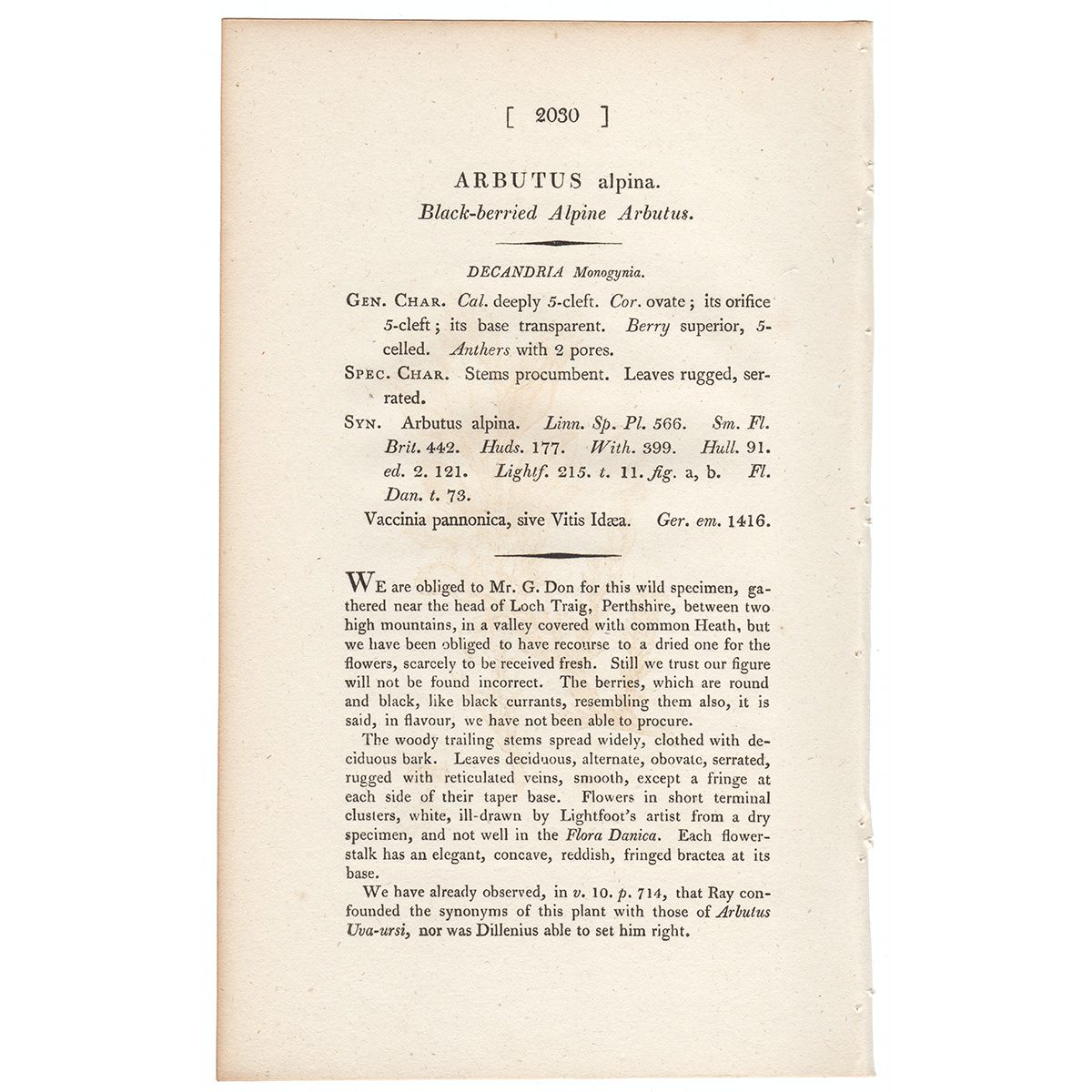 Sowerby Botany Plate 2030 Black-berried Alpine Arbutus - Image 3