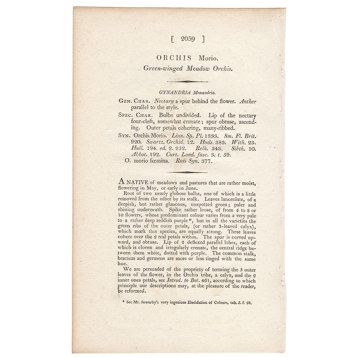 James Sowerby English Botany