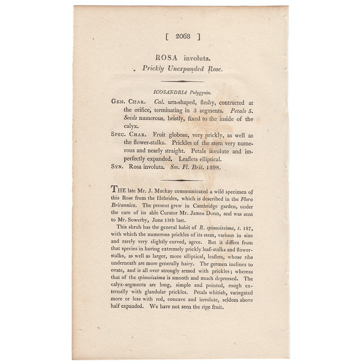 James Sowerby English Botany