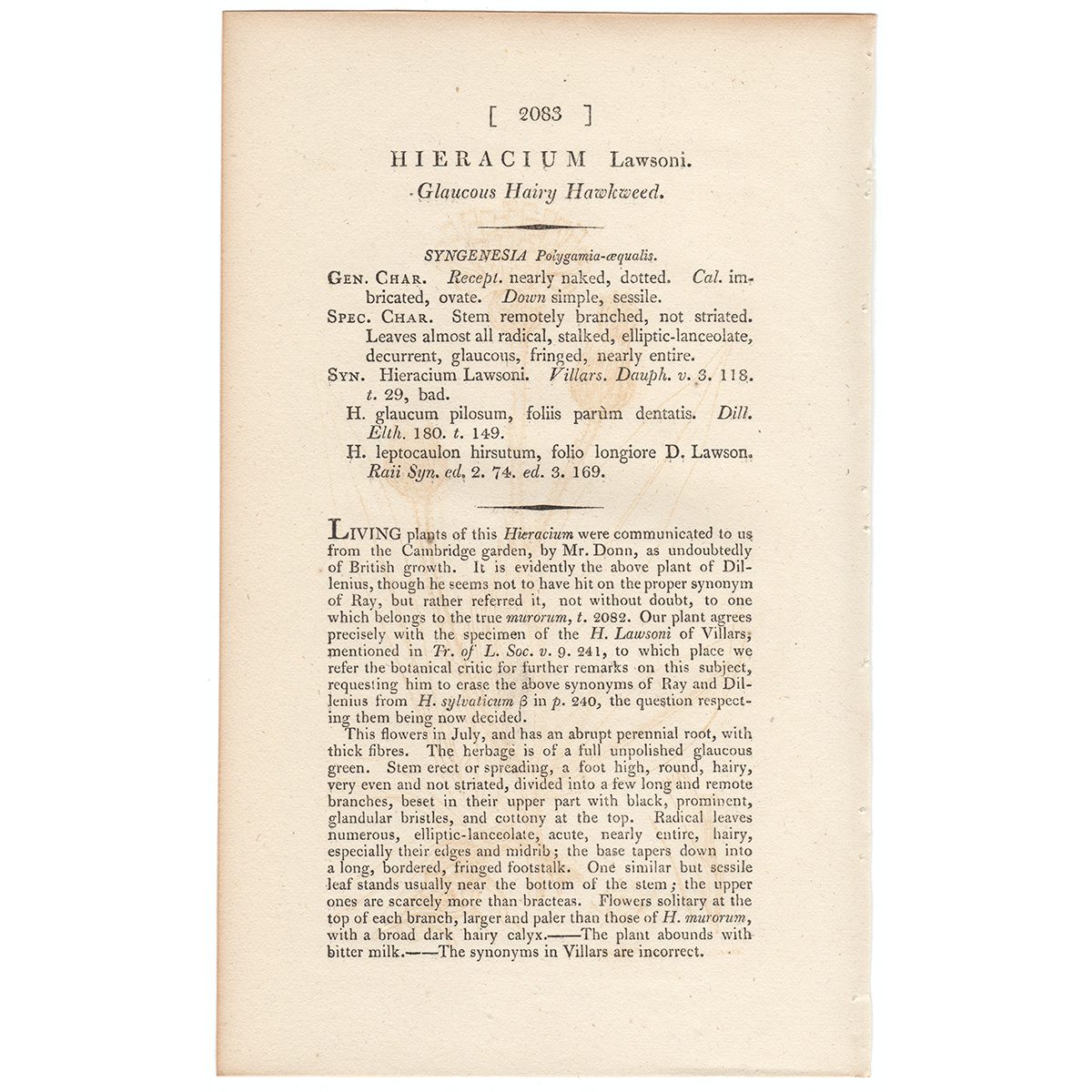 James Sowerby English Botany