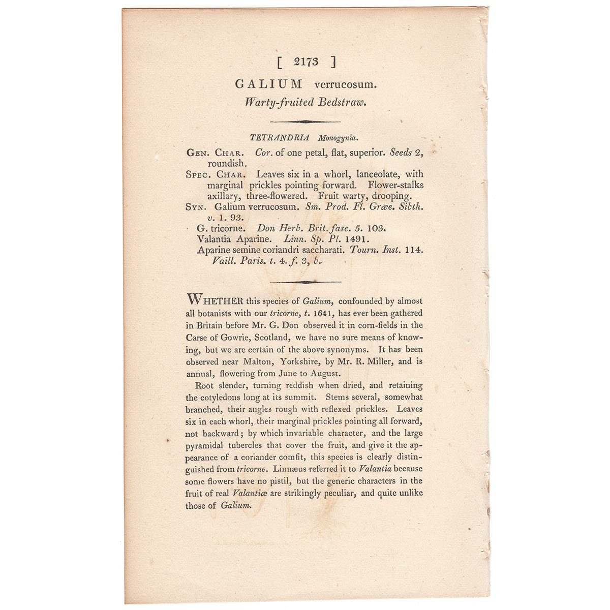 James Sowerby English Botany