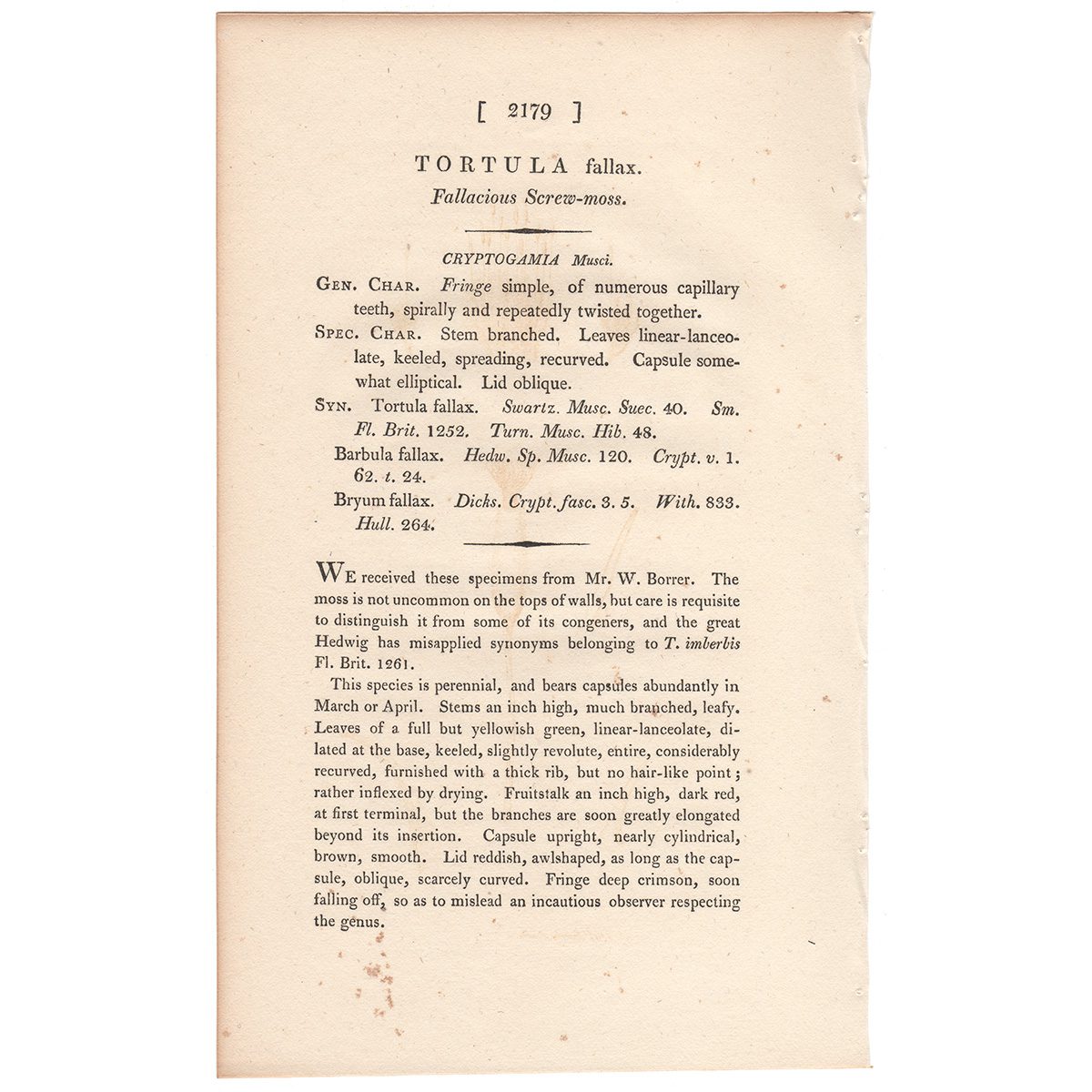 James Sowerby English Botany