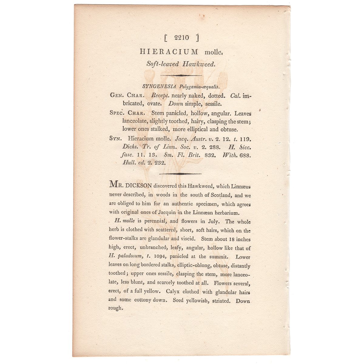 James Sowerby English Botany