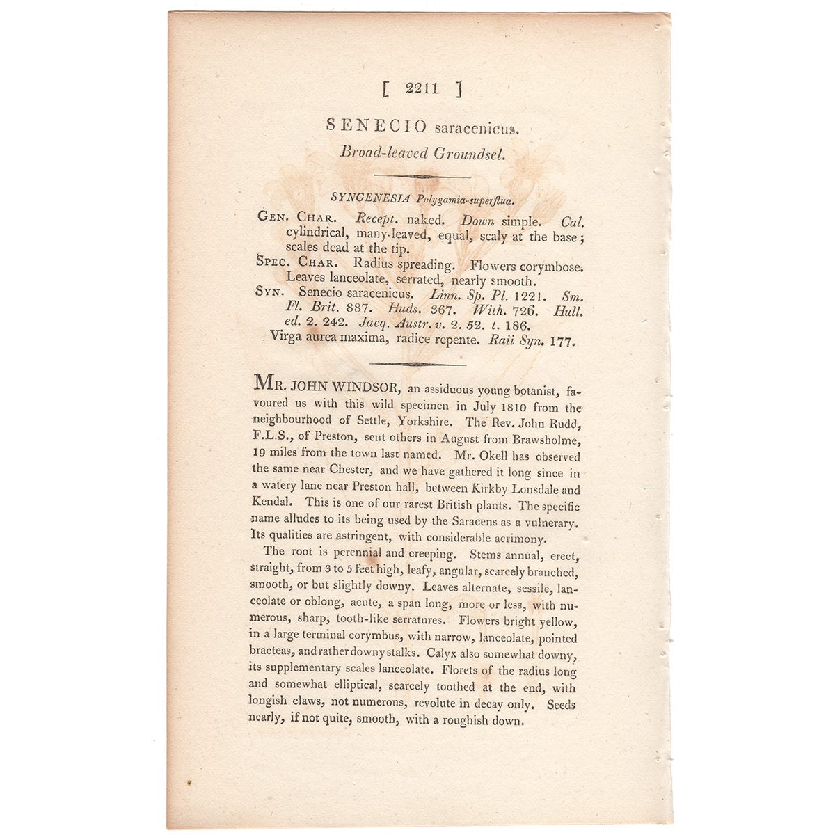 James Sowerby English Botany