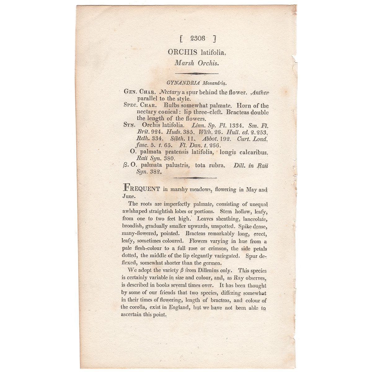 James Sowerby English Botany