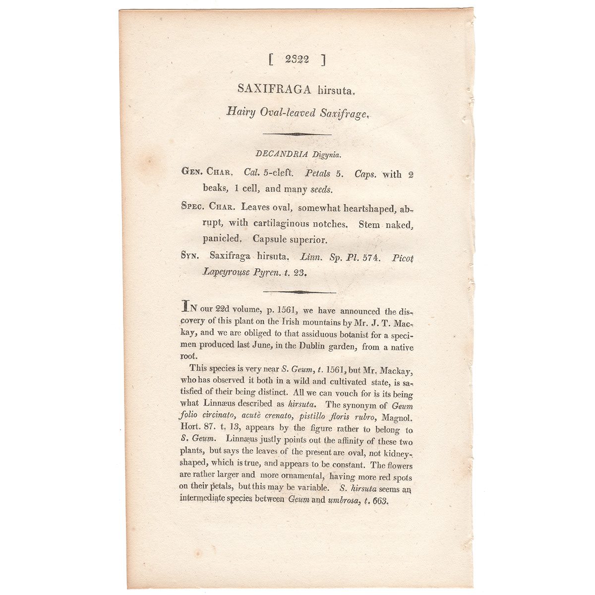 Sowerby Botany Plate 2322 Hairy Oval-leaved Saxifrage - Image 3