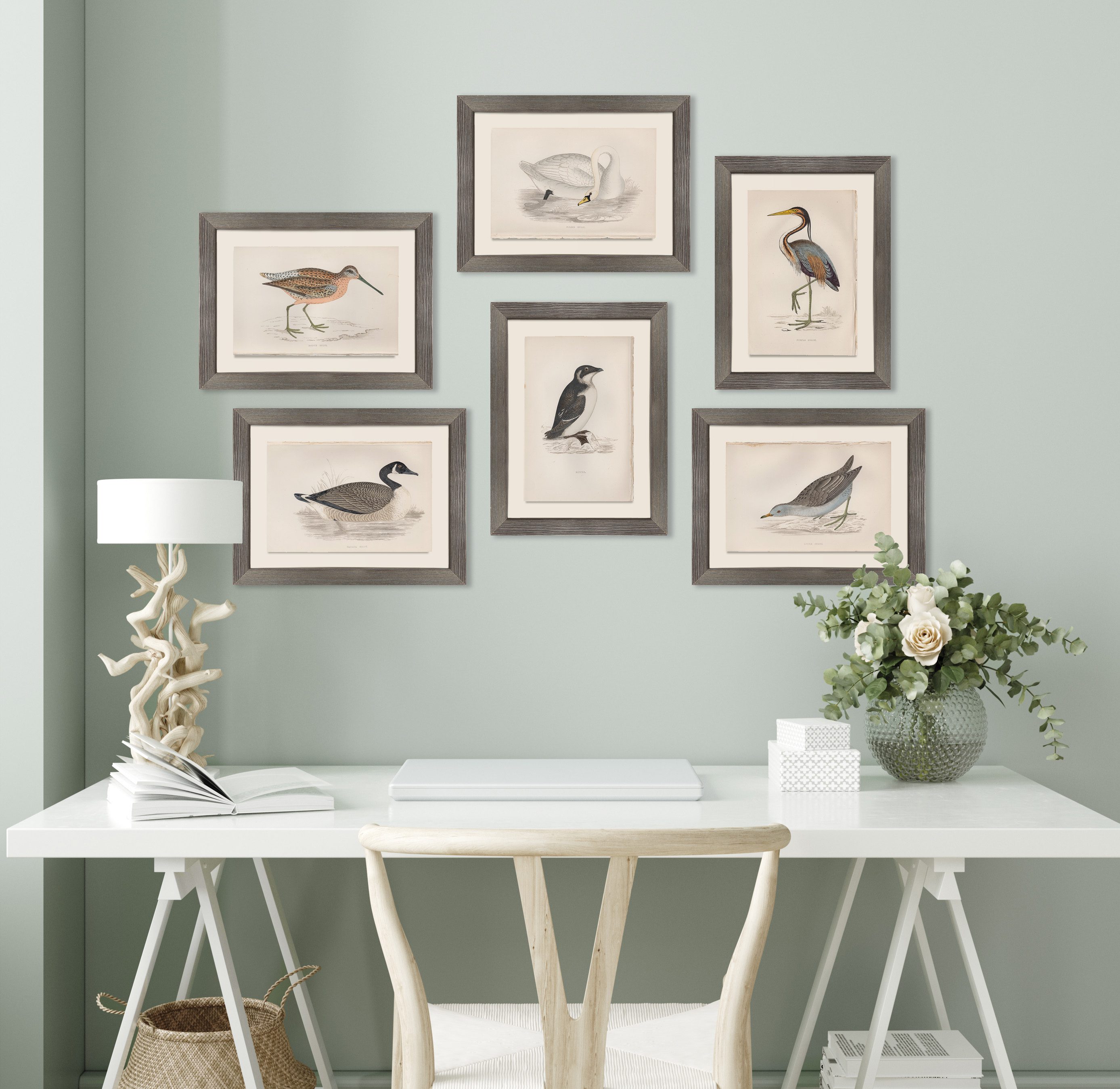 Morris’ Exploration of Birds, Butterflies and Moths