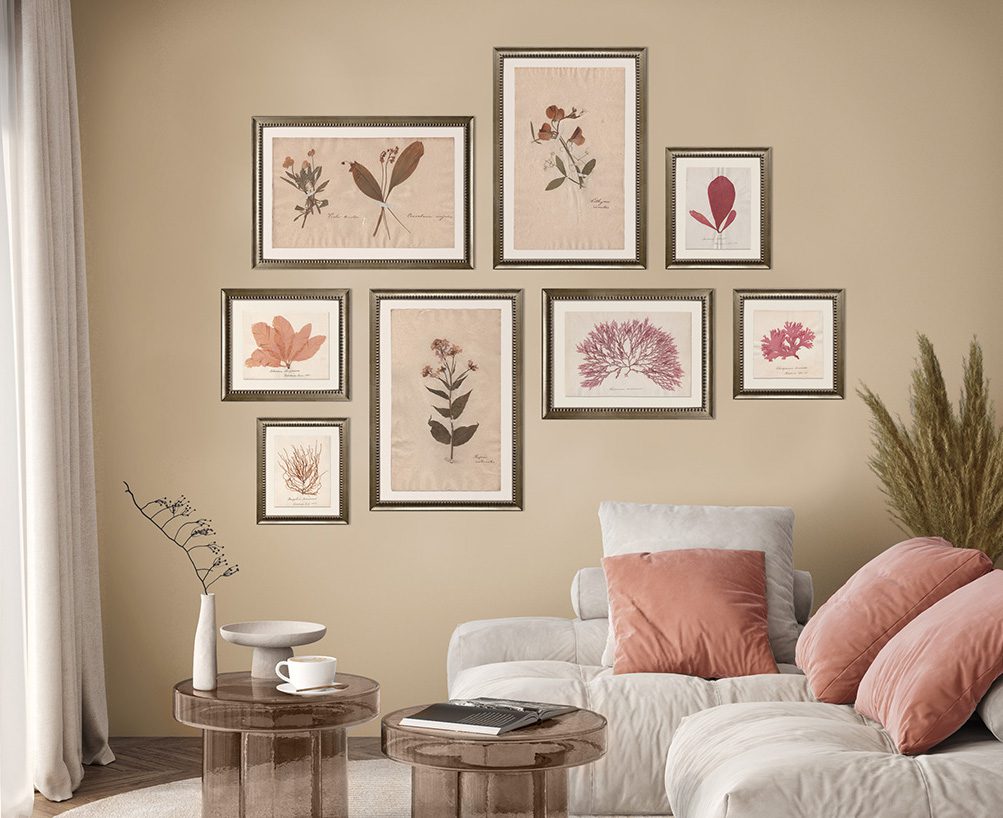 Framed Herbarium prints on office wall by Summer Weeds