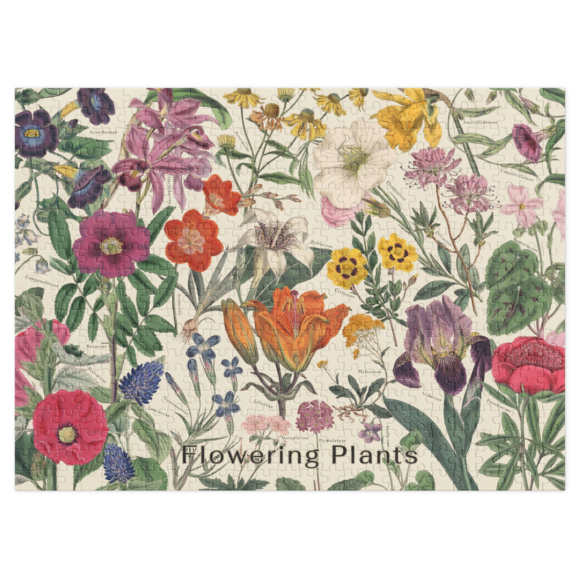 Flowering Plants Puzzle with Vintage Botanical Illustrations