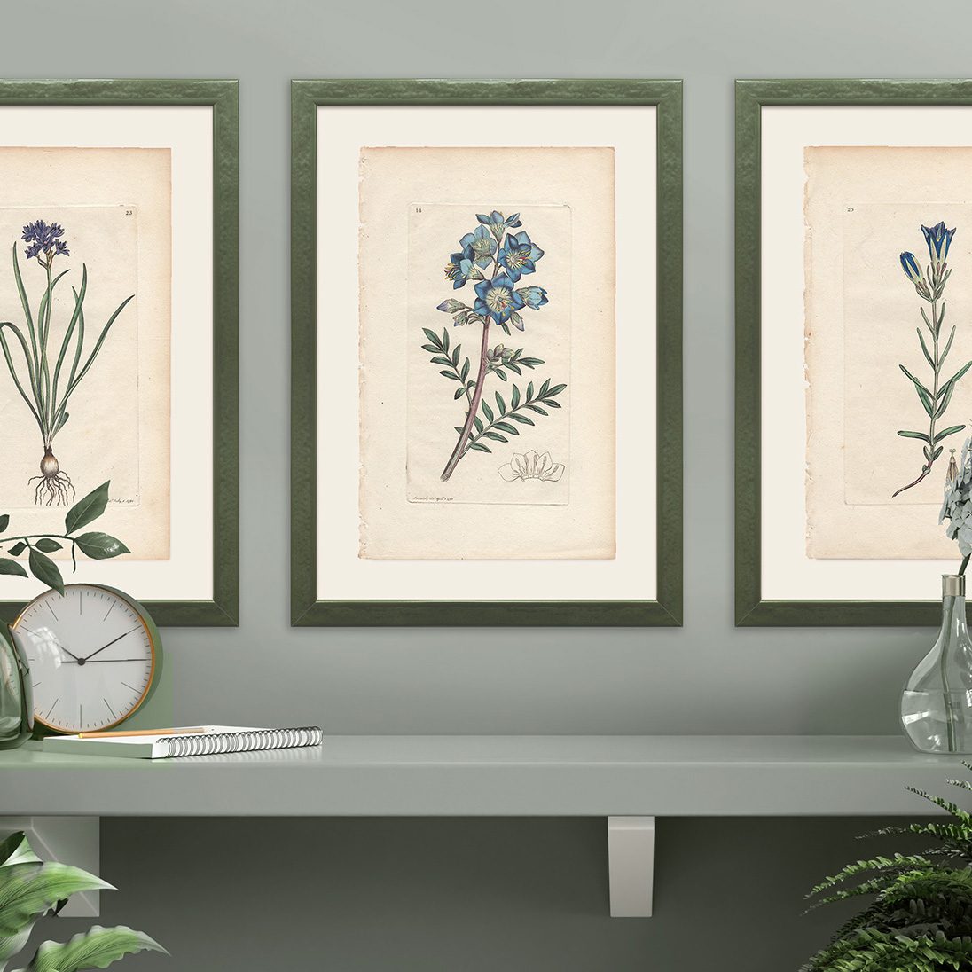 Mockup photo frame on the green shelf with beautiful plants. Framed botanical prints on shelf with blue wall.