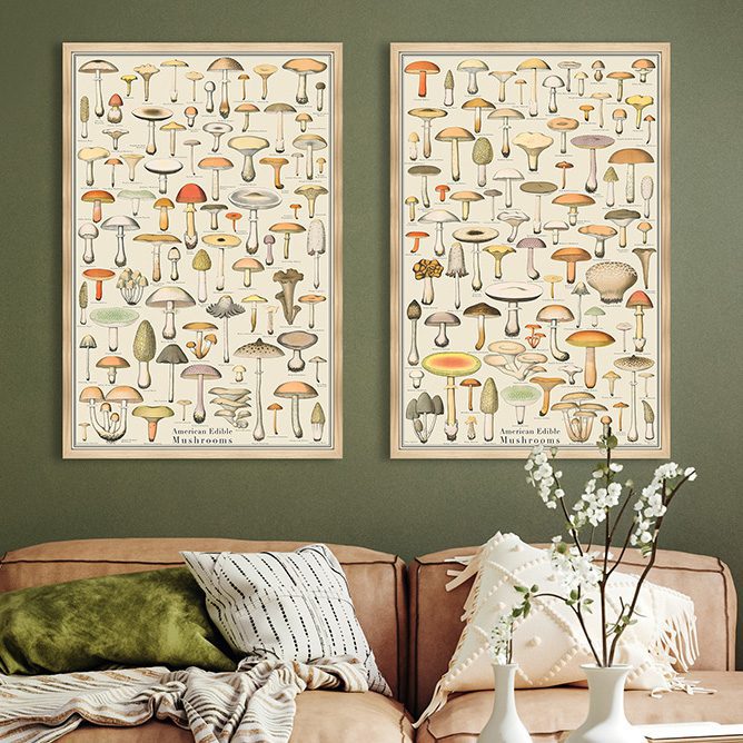 Photos of home interior with natural history art