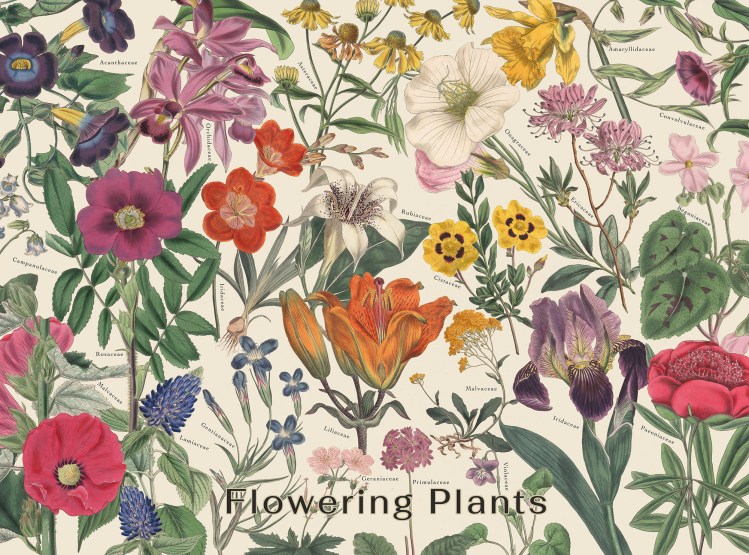 Flowering Plants Puzzle: 1,000-Piece Vintage Botanical Jigsaw Puzzle with Flower Identification
